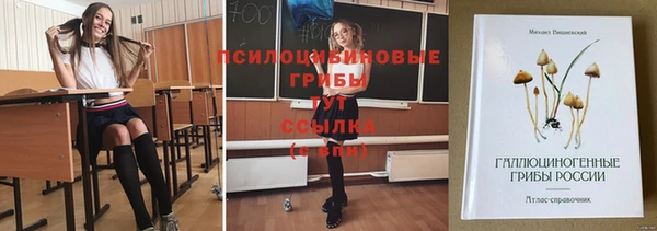 a pvp Богородск
