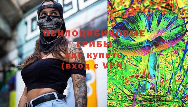 гидра Бронницы