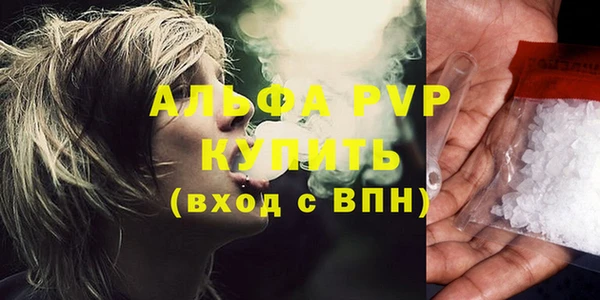 стаф Бородино