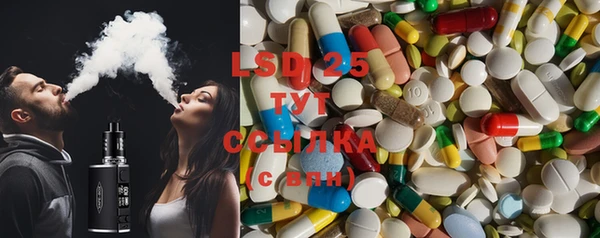 стаф Бородино