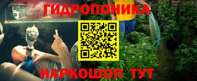 ГАЛЛЮЦИНОГЕННЫЕ ГРИБЫ Кунгур