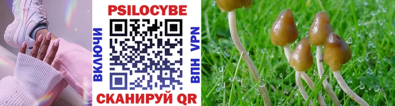 Галлюциногенные грибы Cubensis mega ONION Городец